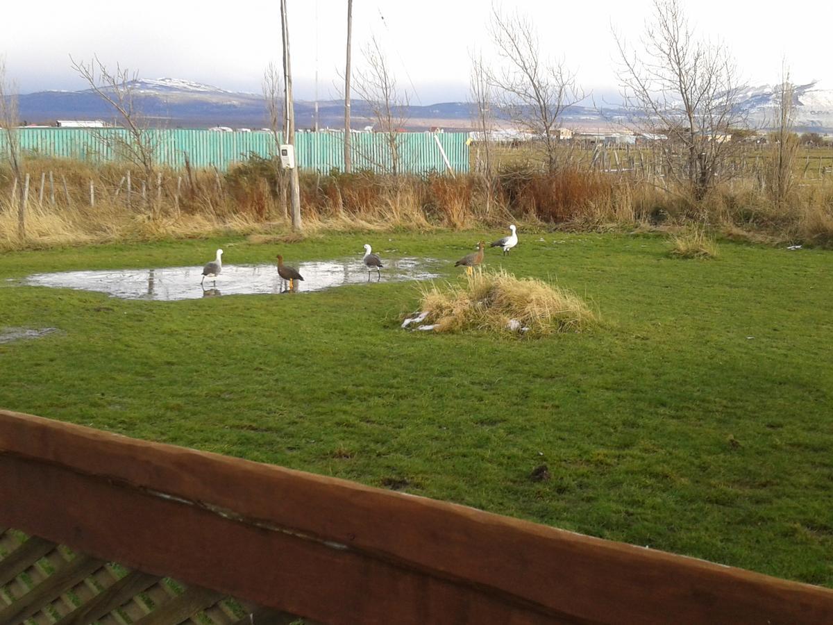 Cabanas Y Casa Kauken Puerto Natales Zewnętrze zdjęcie