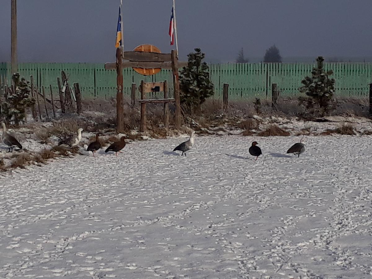 Cabanas Y Casa Kauken Puerto Natales Zewnętrze zdjęcie